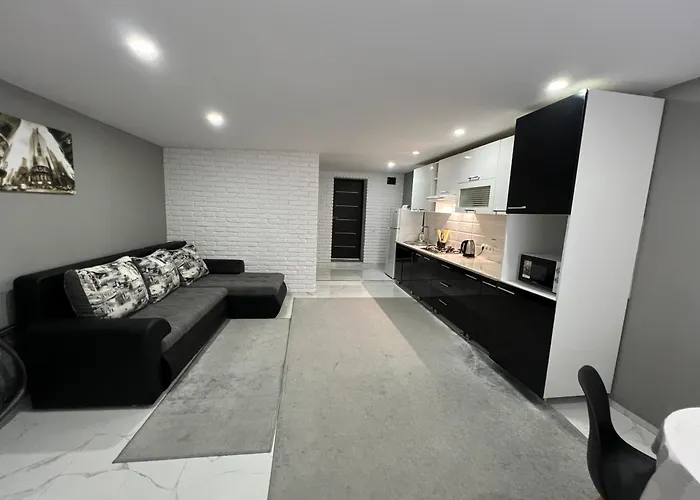 1-Confortable And Ideal Apartament-Квартира Посуточно Edinet